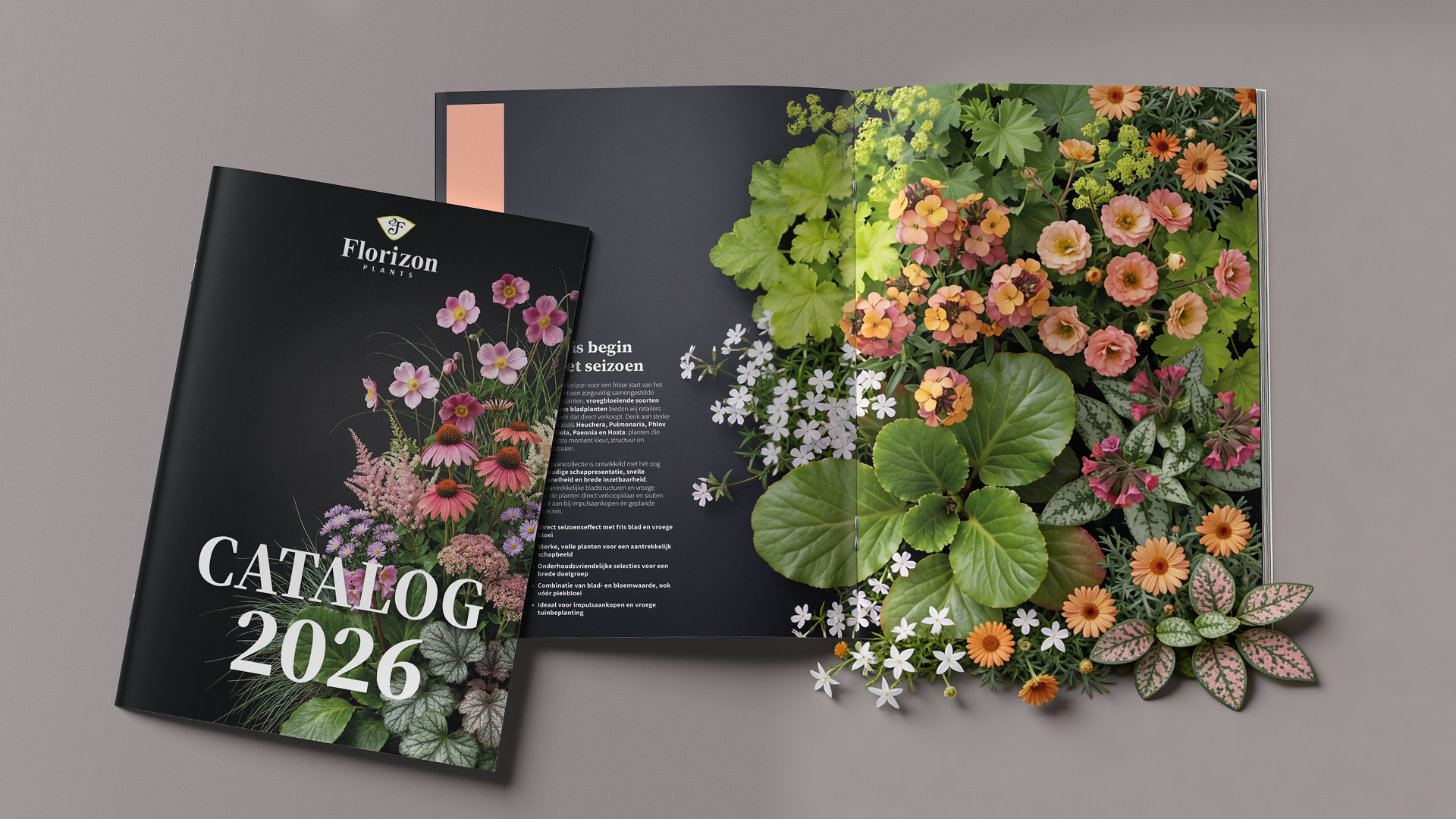 Florizon: Catalog