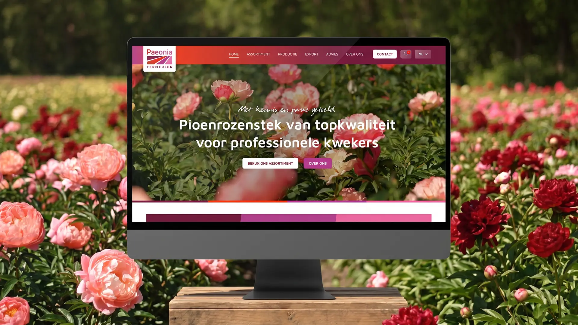 Paeonia Termeulen: Website